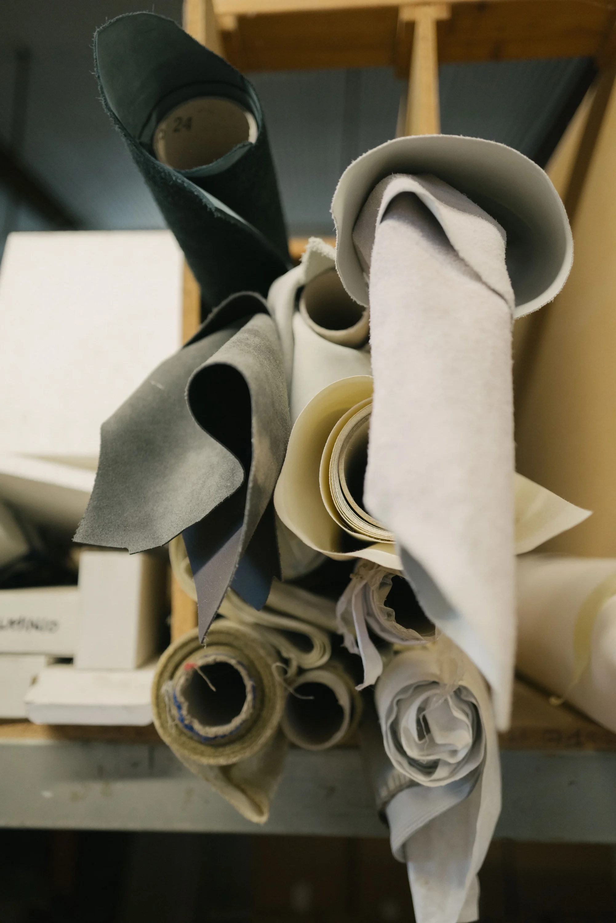 perdoncin-15
